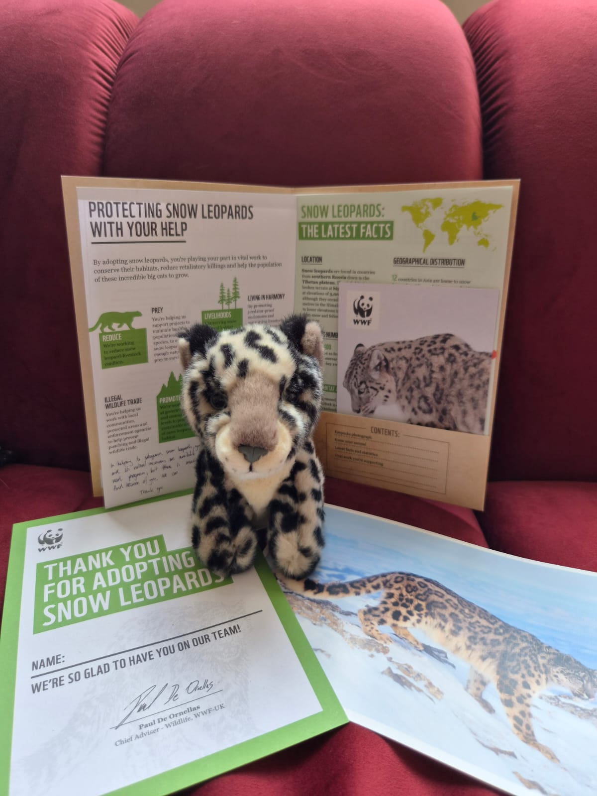 WWF snow leopard adoption pack with certificate and plush snow leopard
