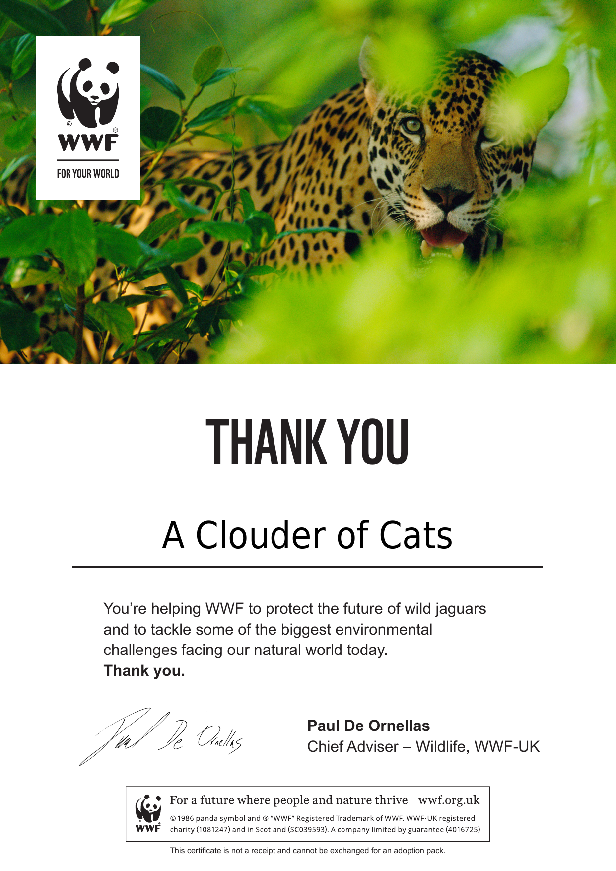 WWF jaguar adoption certificate for A Clouder of Cats