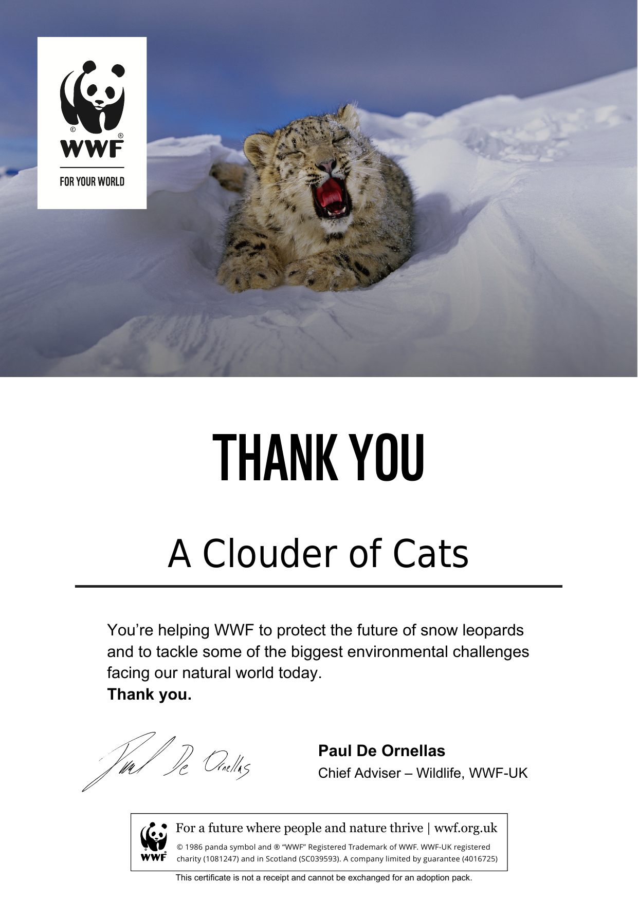 WWF snow leopard adoption certificate for A Clouder of Cats