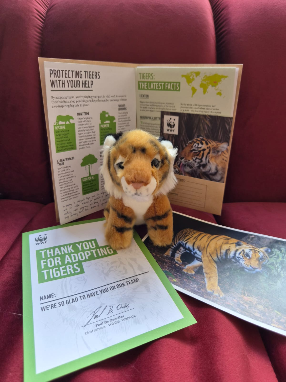 WWF tiger adoption pack with certificate and plush tiger