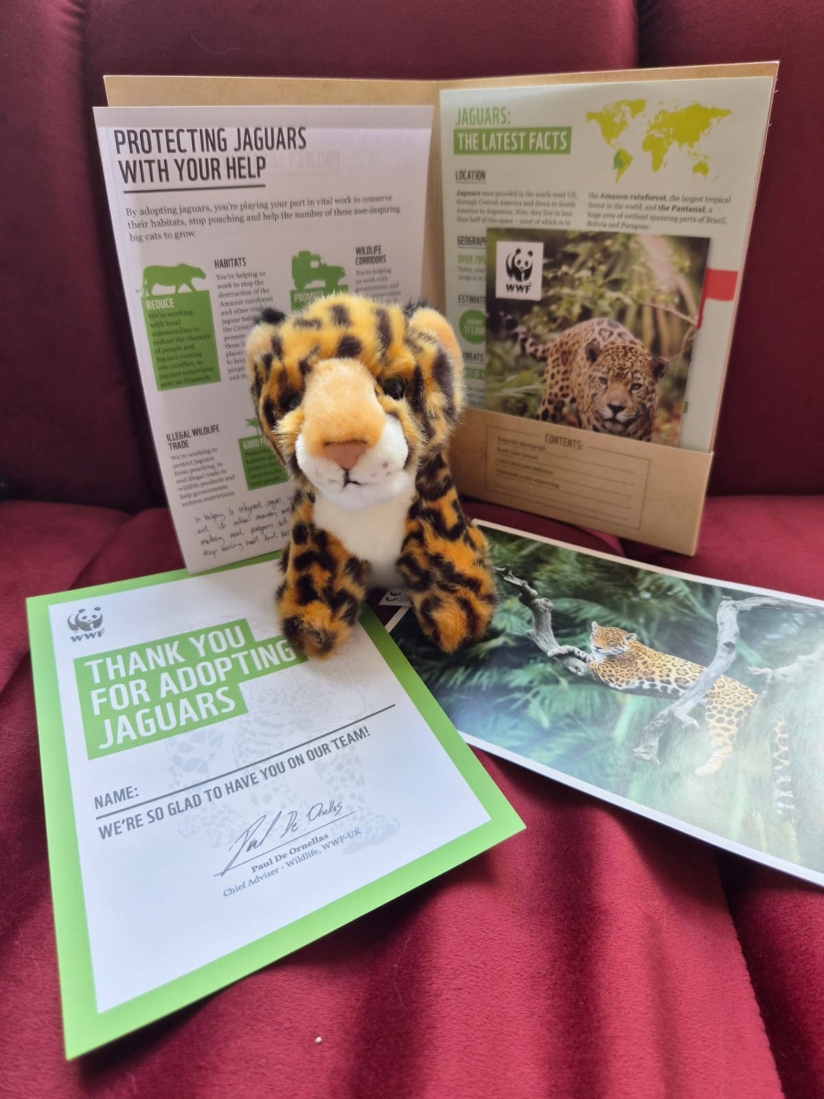 WWF jaguar adoption pack with certificate and plush jaguar